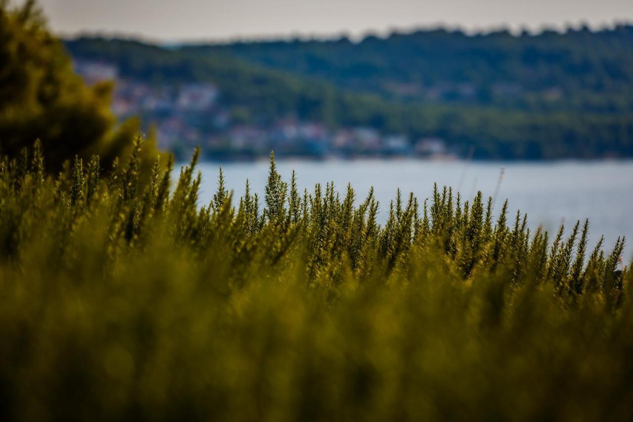 Villa Amarina Trogir Eksteriør billede